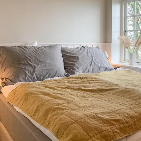 1 Bedroom Pet Friendly In *